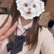 ヒメ日記 2025/10/01 11:14 投稿 ねむ みつらん鉄道