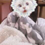 ヒメ日記 2025/10/06 12:04 投稿 ねむ みつらん鉄道