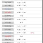 ヒメ日記 2025/10/12 18:04 投稿 ねむ みつらん鉄道