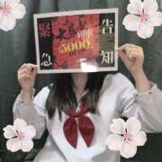 ヒメ日記 2025/10/19 11:04 投稿 ねむ みつらん鉄道