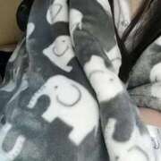 ヒメ日記 2025/10/23 09:39 投稿 ねむ みつらん鉄道