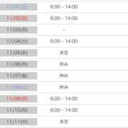 ヒメ日記 2025/10/31 14:04 投稿 ねむ みつらん鉄道