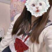 ヒメ日記 2025/11/15 12:06 投稿 ねむ みつらん鉄道