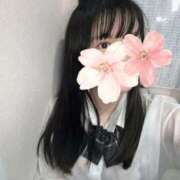 ヒメ日記 2025/11/15 22:38 投稿 ねむ みつらん鉄道