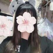 ヒメ日記 2025/11/25 11:34 投稿 ねむ みつらん鉄道