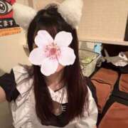 ヒメ日記 2025/11/26 07:14 投稿 ねむ みつらん鉄道