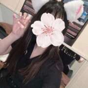 ヒメ日記 2025/11/26 11:44 投稿 ねむ みつらん鉄道