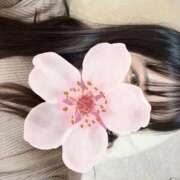 ヒメ日記 2025/11/30 00:04 投稿 ねむ みつらん鉄道