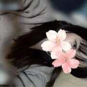 ヒメ日記 2025/12/05 00:19 投稿 ねむ みつらん鉄道