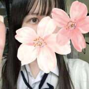 ねむ やほ(๑•ω•๑)/"♡ みつらん鉄道