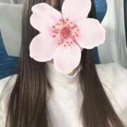 ヒメ日記 2025/12/07 16:14 投稿 ねむ みつらん鉄道