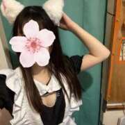 ヒメ日記 2025/12/11 05:18 投稿 ねむ みつらん鉄道