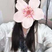 ヒメ日記 2025/12/11 13:24 投稿 ねむ みつらん鉄道