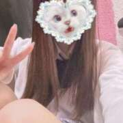 ヒメ日記 2025/12/14 12:54 投稿 ねむ みつらん鉄道