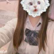 ヒメ日記 2025/12/19 09:54 投稿 ねむ みつらん鉄道