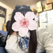 ヒメ日記 2025/12/21 04:14 投稿 ねむ みつらん鉄道