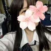 ヒメ日記 2025/12/25 10:20 投稿 ねむ みつらん鉄道