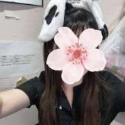 ヒメ日記 2025/12/26 14:04 投稿 ねむ みつらん鉄道