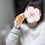 ヒメ日記 2025/12/28 00:14 投稿 ねむ みつらん鉄道