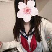 ヒメ日記 2025/12/29 21:14 投稿 ねむ みつらん鉄道