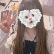 ヒメ日記 2026/01/07 00:18 投稿 ねむ みつらん鉄道