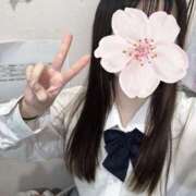 ヒメ日記 2026/01/08 00:15 投稿 ねむ みつらん鉄道