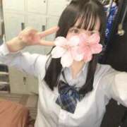 ヒメ日記 2026/01/12 21:34 投稿 ねむ みつらん鉄道