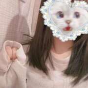 ヒメ日記 2026/01/14 07:54 投稿 ねむ みつらん鉄道