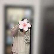 ヒメ日記 2026/01/14 21:34 投稿 ねむ みつらん鉄道