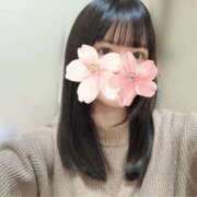 ヒメ日記 2026/01/24 04:44 投稿 ねむ みつらん鉄道