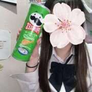 ヒメ日記 2026/02/14 20:14 投稿 ねむ みつらん鉄道