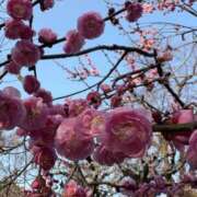 ヒメ日記 2026/02/23 18:54 投稿 ねむ みつらん鉄道