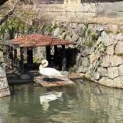 ヒメ日記 2026/03/06 20:54 投稿 ねむ みつらん鉄道