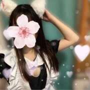 ヒメ日記 2026/03/20 05:14 投稿 ねむ みつらん鉄道