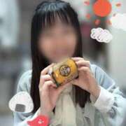 ヒメ日記 2026/04/05 15:44 投稿 ねむ みつらん鉄道