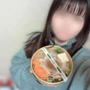 ヒメ日記 2026/04/08 16:04 投稿 ねむ みつらん鉄道