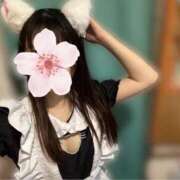 ヒメ日記 2026/06/12 21:14 投稿 ねむ みつらん鉄道