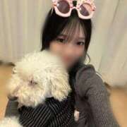 ヒメ日記 2025/11/19 02:41 投稿 もも あふたーすくーる本店