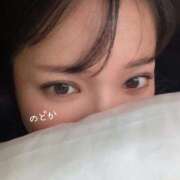 ヒメ日記 2025/11/29 14:30 投稿 和花/のどか ANEJE～アネージュ池袋～(ユメオト)