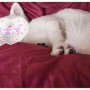 ヒメ日記 2025/08/25 18:55 投稿 神崎いろは 洗体アカスリとHなスパのお店