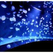 ヒメ日記 2025/08/28 20:54 投稿 神崎いろは 洗体アカスリとHなスパのお店