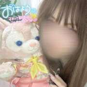 ゆあ 40分7600円 【くっついてたら落ち着く♡♡】 回春性感メンズエステ猫の手 岐阜／岐南