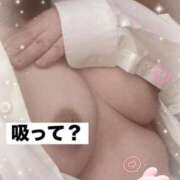 ヒメ日記 2025/05/21 06:49 投稿 みや 愛媛松山ちゃんこ