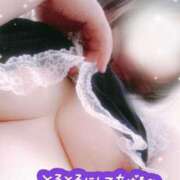 ヒメ日記 2025/06/23 06:39 投稿 みや 愛媛松山ちゃんこ