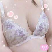 ヒメ日記 2025/06/30 16:49 投稿 みや 愛媛松山ちゃんこ