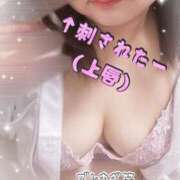 ヒメ日記 2025/07/29 07:39 投稿 みや 愛媛松山ちゃんこ