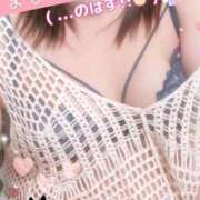 ヒメ日記 2025/08/28 08:59 投稿 みや 愛媛松山ちゃんこ