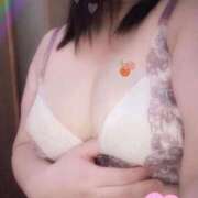 ヒメ日記 2025/09/16 11:41 投稿 みや 愛媛松山ちゃんこ