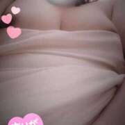 ヒメ日記 2026/03/06 11:39 投稿 みや 愛媛松山ちゃんこ