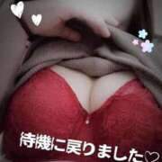 ヒメ日記 2026/03/06 23:15 投稿 みや 愛媛松山ちゃんこ